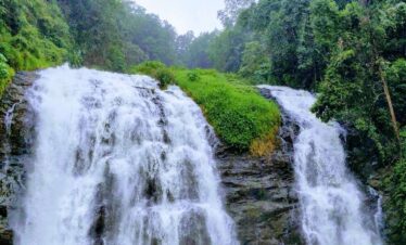 Assam Tours in budget