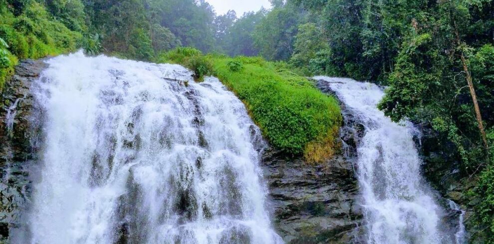 Assam Tours in budget