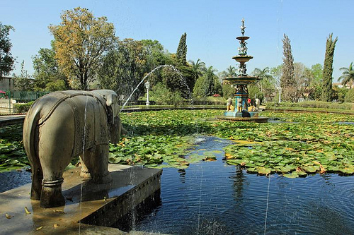 Descubre el Norte de la India en familia con Journeys with Luxury